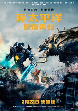图鉴分区电影类标本柜抽屉实拍